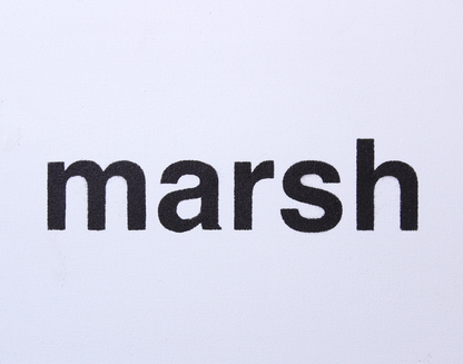 Marsh