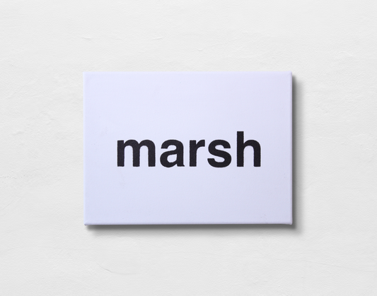 Marsh